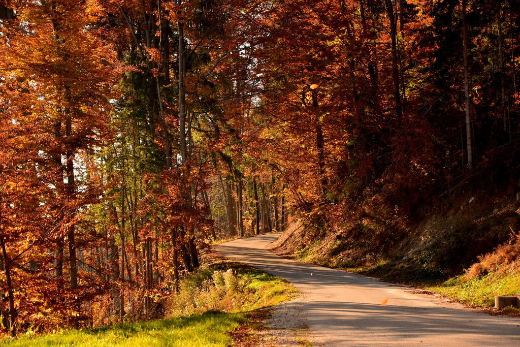 Gatej Cerkno
