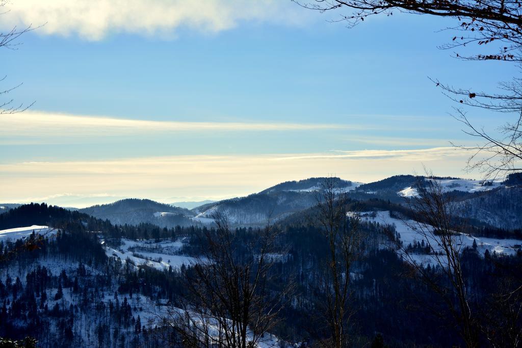 Gatej Apartment Cerkno